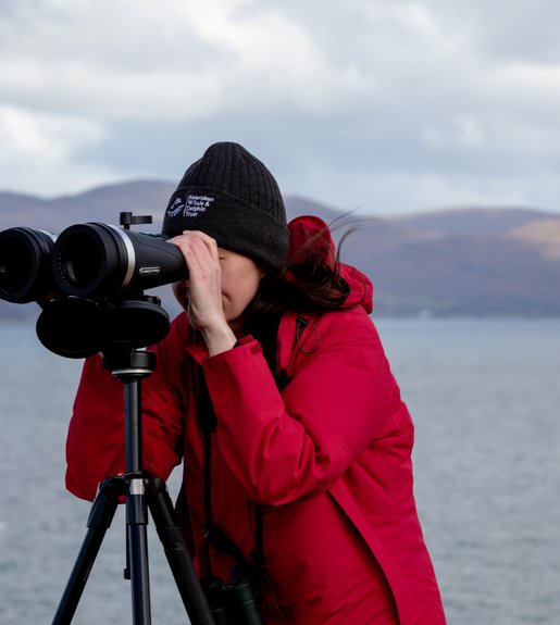 Hebridean Whale and Dolphin Trust